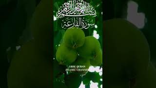 surah Qariah translation in urdu||surah Al Qariah  tarjuma||Quran Urdu translation.