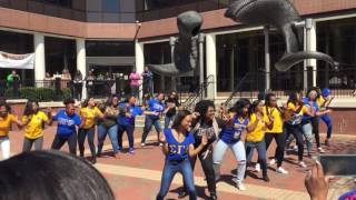 EZ Sigma Gamma Rho Alumni Greek Weekend Stroll Off VCU