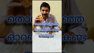 തൊലി കളഞ്ഞ ഓറഞ്ചിൽ കണ്ട അദ്ഭുതം | Peeled orange | REAL ARTECH | #shorts