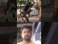 முட்டு கிடாய் பிடித்தவர்கள் லைக் ஷேர் பண்ணுங்க