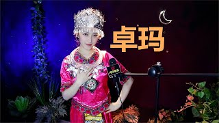 美丽的姑娘《卓玛》，经典藏族歌曲【月宁音乐】