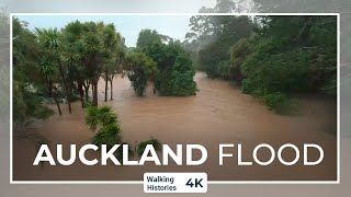 Flood Henderson Auckland - Opanuku Stream & Palomino Drive | Auckland New Zealand Walking Tour 4K