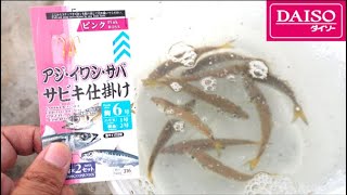 全部ダイソー釣具使用でアジのサビキ釣り　釣れる時間は？　いわき市江名港