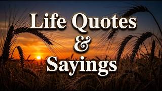 Shining a Light on TIMELESS QUOTES