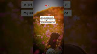 ভালোবাসা সত্যিই পাগলামি❤ #shorts #shortvideo #shortsviral #trending #trendingshorts #viralvideo