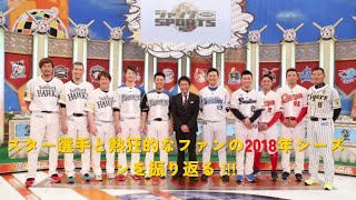 【ジャンクSPORTS】『浜田雅功ｘ上原浩治』🌈🌈🌈「プロ野球一斉調査SP 甲斐キャノンと母の感動秘話スター選手と熱狂ファンの2018シーズン反省会 !!」