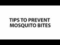 Tips To Prevent Mosquito Bites | Talking Point | Channel NewsAsia Connect