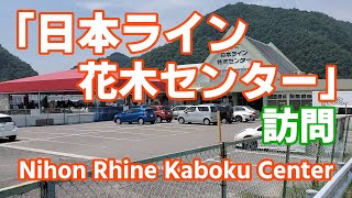 「日本ライン花木センター」さんに行ってきました（2020年7月）：（Nihon Rhine Kaboku Center）【Dyckia Maniax（ディッキア・マニアックス ）】by Nin-Nin