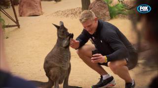 HSBC SYDNEY 7s - Canada go Wild