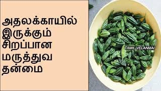 அதலக்காயில் இருக்கும் சிறப்பான மருத்துவ தன்மை  ||  Athalakkai   || Tamil Velanmai