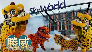 Lion Dance Visit Show Room @Setapak | Sheng Wai Dragon & Lion Dance 勝威龍獅體育會 #skyworld #barongsai