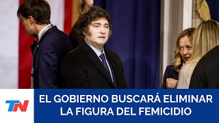 El Gobierno busca eliminar la figura de femicidio, derogar la Ley Micaela y sacar el DNI no binario