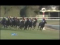 2012年第32回ジャパンカップ（gi）