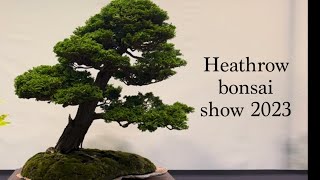 Heathrow bonsai show 2023 #japan #heathrowbonsaishow #bonsai