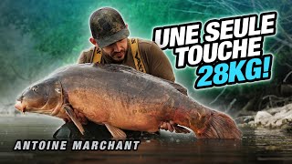 KORDA CARP FISHING FILM: Une seule touche, 28kg !