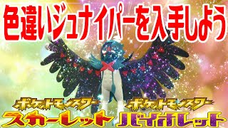 【ポケモンSV】色違いジュナイパーを入手しよう 進化入手【ポケットモンスター スカーレット・バイオレット ゼロの秘宝 藍の円盤】Pocket Monsters