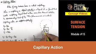 Class 11 Physics | Surface Tension | #15 Capillary Action | For JEE & NEET