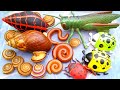 harvest flat snails, big snails, spider snails,millipedes,grasshoppers, beetles