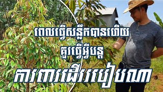 #ដំណាំទុរេន#បច្ចេកទេសធ្វើនិងការពារស្លឹក #កសិកម្មកម្ពុជា#ep92