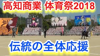 高知商業体育祭、伝統の全体応援2018！OBオレンジ組も参加！