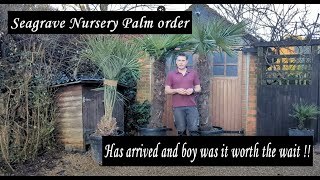 Seagrave Nursery Delivered some great palms and decent prices