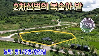 ★매물번호10485★충북 옥천/1억1000/2차선변의 복숭아 밭/농막 있음/수확기인 복숭아 나무/662평/귀농귀촌/과수원 농사/주말 농장/옥천 보은 영동 상주