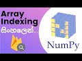 Python Numpy Tutorial - 03 | Array Indexing | Sinhala