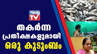 ഒരു തരത്തിലും ജീവിക്കാന്‍ അനുവദിക്കാത്ത ചില വിഷജീവികള്‍....