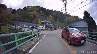 ニホンザルが日常の風景 富山県 黒部峡谷 宇奈月温泉