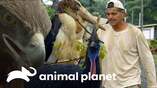 Frank comparte con aves espectaculares | Wild Frank | Animal Planet