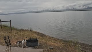 White Earth Campground Site 29 Townsend Montana Canyon Ferry Lake Morning Feed Dukkie AFT 2024 🔥🆙