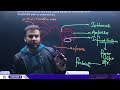 bcece mahasangram 2025 biology human reproduction lecture 02 bihar bcece exam 2025