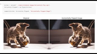 Full Tutorial On Image Processing In Skimage