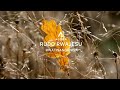 RUDO RWAJESU RWATISANGANISA : Mazambara Ariyo Anerunyararo (Official Music Video) | Alora 