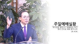 2024년 10월 13일 사랑의동산교회 2부 예배