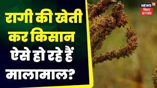 Annadata :  रागी की खेती कर किसान ऐसे हो रहे हैं मालामाल ? ।Ragi Ki kheti Kaise Karen |Ragi Kheti