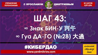 Кибердао. Круг 2. Шаг 43. Бин-У. Гуа Да-го (№28) Большая чрезмерность (Дмитриев Я.)