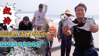 花3000块去大海里拉一网鱼，没想到里面有这么多