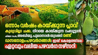 ഒന്നാംവർഷം കായ്ക്കുന്ന പ്ലാവ്, കുരുവില്ലാ ചക്ക,‌ റംബൂട്ടാൻ, ഇത്‌ കേരളത്തിലെ ഏറ്റവും വലിയ നഴ്സറി