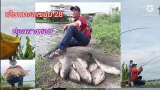 คลิปที่ 54...🐟🐟เทียนทะเลซอย🐟🐟 28 บ่อกลางซอย🐟🐟