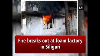 Fire breaks out at foam factory in Siliguri - West Bengal #News