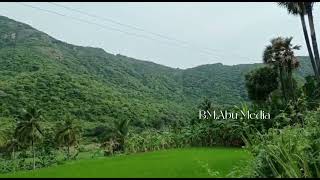 பசுமையான இயற்கை காட்சி Greenery natural scene 13 September 2022