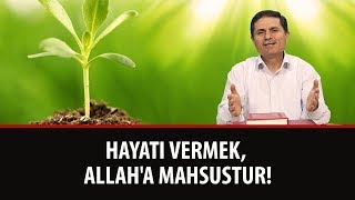 Dr. Ahmet Çolak - Sözler - 22. Söz - 2. Makam - 4. Lem'a - Hayatı Vermek, Allah'a Mahsustur