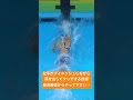 クロール クイックターン 平泳ぎ 水中動画 水泳 競泳 背泳ぎ ターン 泳ぎ方 バタフライ