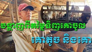 បង្ហាញតម្លៃទិញចូល គោតូច និងគោធំ ចាប់ពី6000ទៅ9500រៀល