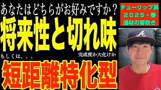 【チューリップ賞2025】本格派かスピードタイプか。良馬場かタフ馬場か。3歳トライアルはこれだから面白い！ビップデイジー、マイエレメントら出走の桜花賞路線が難解すぎる【競馬予想】