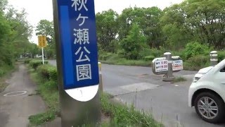 昼間心霊スポットに行ってみた（秋ヶ瀬公園）その１