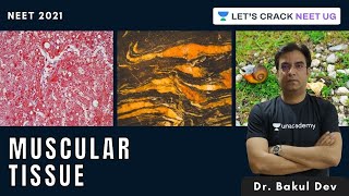 Muscular Tissue | NEET Biology | NEET 2021 | Dr. Bakul Dev