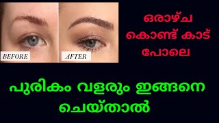 പുരികം കട്ടിയിൽ വളരാൻ /Thicker eyebrows naturally at home #shortvideo