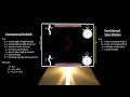 Classroom Aid - Gravitational Time Dilation